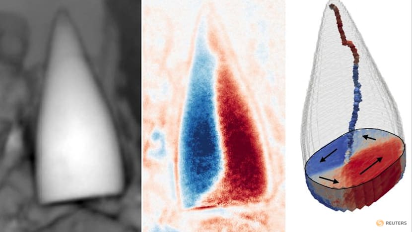 Magnetic fossils may reveal ancient creature's internal 'GPS system'