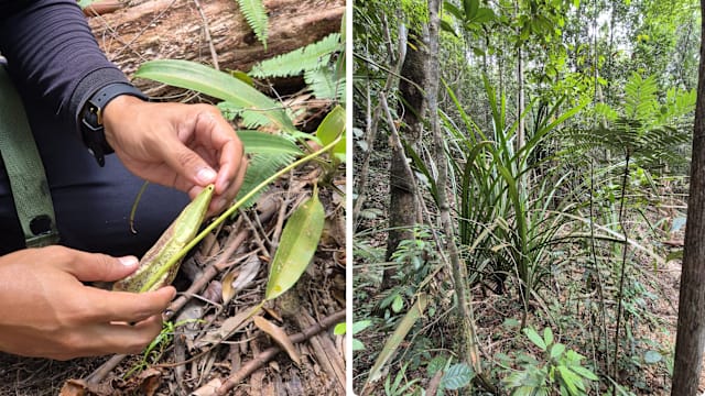 这次的旅程让我学会珍惜 