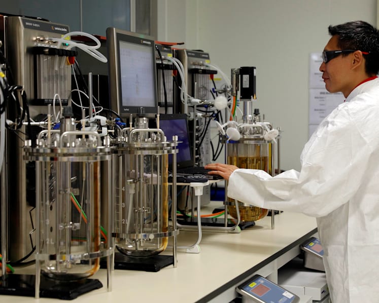 Singapore manufacturing output continues growth trajectory, up 4% in October