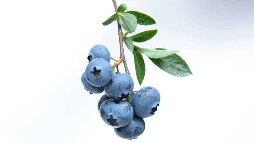 Related article image