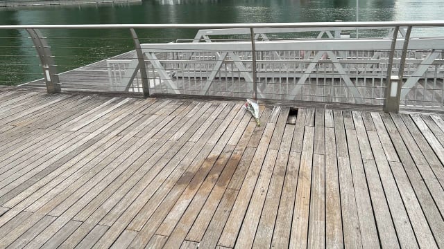 青年警员滨海湾自轰 警方：生前未寻求辅导帮助