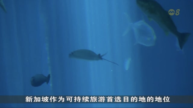 新加坡海洋生态馆下周四重开 面积扩大两倍