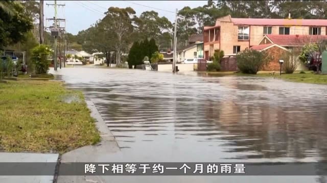 强风暴袭悉尼航铁交通瘫痪 数万户断电