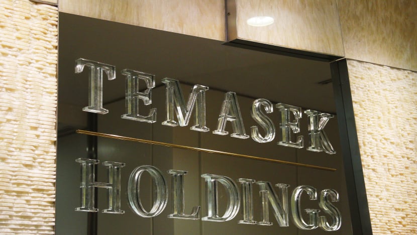 Temasek expects portfolio firms to be on the straight and narrow: Indranee