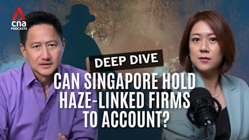 Deep Dive - Making companies behind the haze pay: Can Singapore succeed?