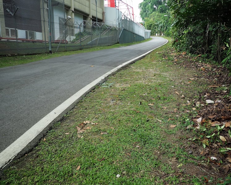 Woman and child found dead near Bukit Timah Nature Reserve