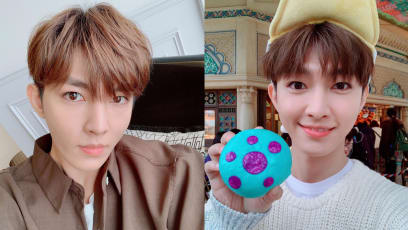 Did Aaron Yan Lose A S$4mil Job Because Of His Expletive-Filled Facebook Rant Reportedly Directed At The WHO Chief?