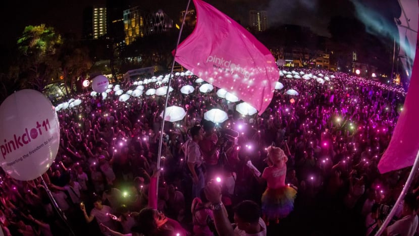 377A: Religious groups support Government; Pink Dot says Shanmugam's comments 'step in right direction'