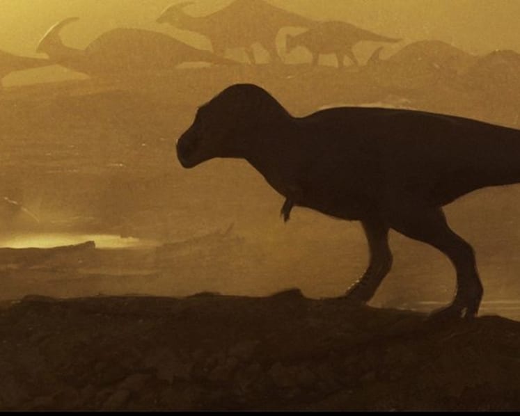 Large shinbone found in New Mexico belongs to close kin of T. rex