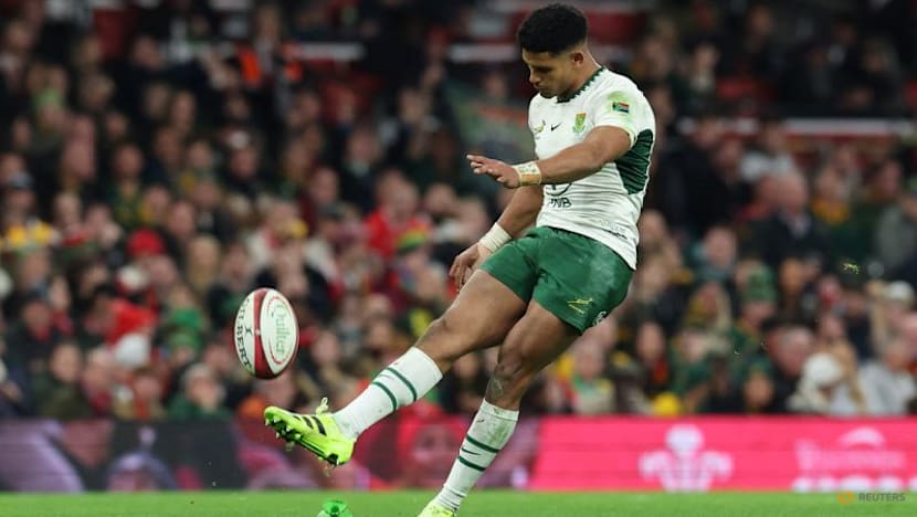 Springboks score 11 tries in record 73-0 win over hapless Wales