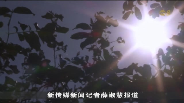 厄尔尼诺现象和印度洋正偶极若同时出现 将使我国更炎热干燥