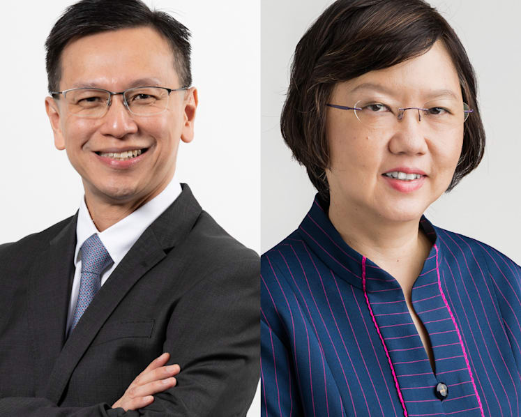 IRAS board to get new chairman on May 1