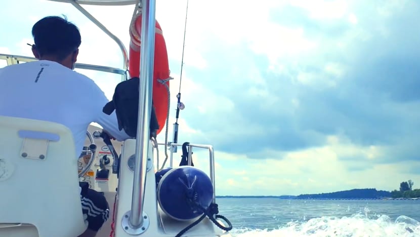 From domestic tourism to selling bird's nest and seafood, travel firms pull out the stops to beat hard times