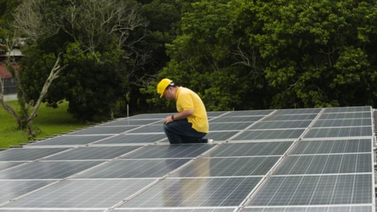 Champions Of Good: The Business Of Caring For The Environment