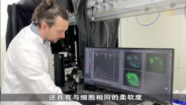 德国科学家研发首个可精确操控细胞的微型机器人