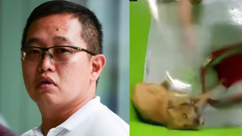 Pengendali anjing dituduh dera haiwan dikenakan tuduhan baharu, palsukan bukti CCTV