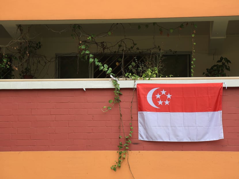 Minister for Culture, Community and Youth and Second Minister for Law Edwin Tong invited Singaporeans to share their ideas on how the flag may be used to express national pride and identity.