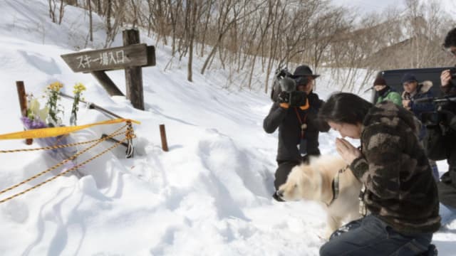 因疏忽导致七名学生雪崩遇难 日本三名教师被判刑两年
