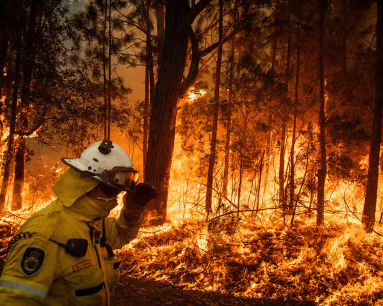 Explainer: Australia is on fire — how bad are the bushfires and what can Singaporeans do to help?