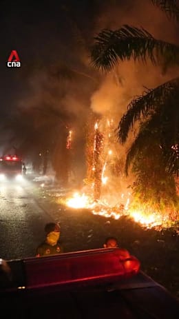 Indonesia arrests 72 people suspected of starting forest fires