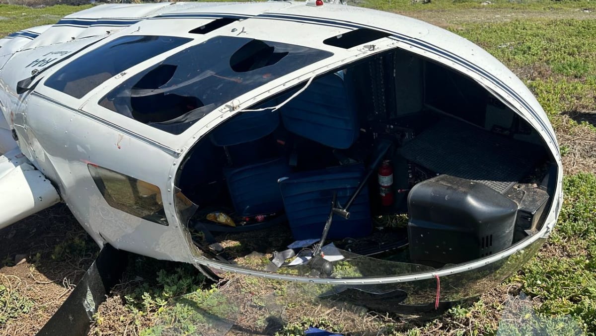 Penguin causes helicopter crash on Bird Island near South Africa; pilot accused of violating flight regulations Penguin causes helicopter crash on Bird Island near South Africa; pilot accused of violating flight regulations