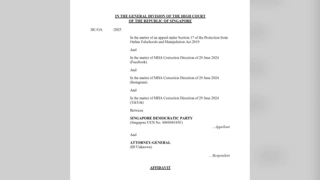 民主党向高等法院提交申请 就尚穆根更正指示上诉