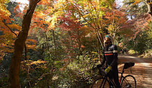 Japan Hour - Cycle Around Japan - Nara: Discovering Ancient Ways