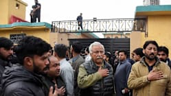 Related article image