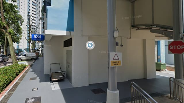 武吉班让发生斗殴三男女被捕 警方搜出电子烟和武器