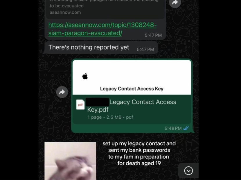 Screenshots from a video by a TikTok user of how he gave a legacy contact access key to his sister when he was in danger has made some people decide to set up their own legacy contact. 