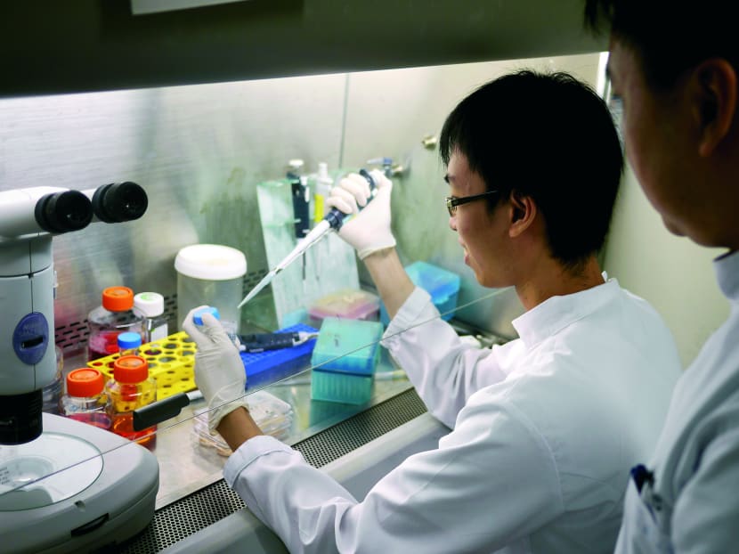 Stem cells from a pricked finger
