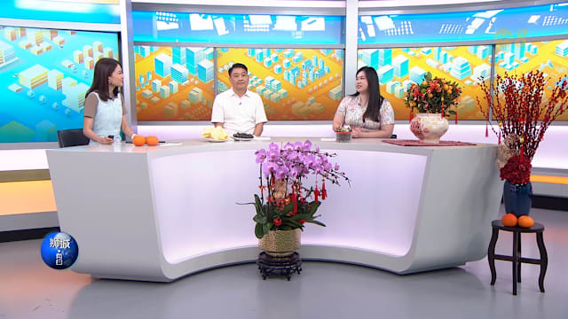 狮城有约  | 海味年花怎么选？办年货不踩雷