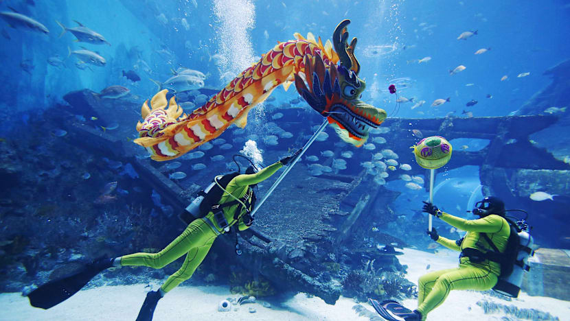 An underwater dragon dance