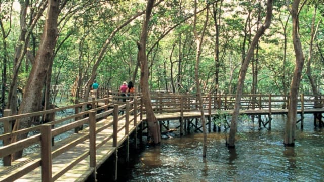访客在双溪布洛湿地遇蜂群 五人被蛰伤送院