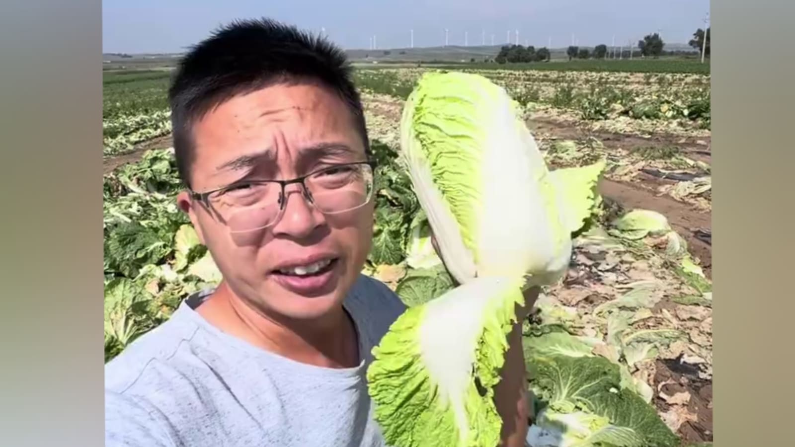 Viral Kubis Formalin di China, Singapura & Korsel Perketat Impor