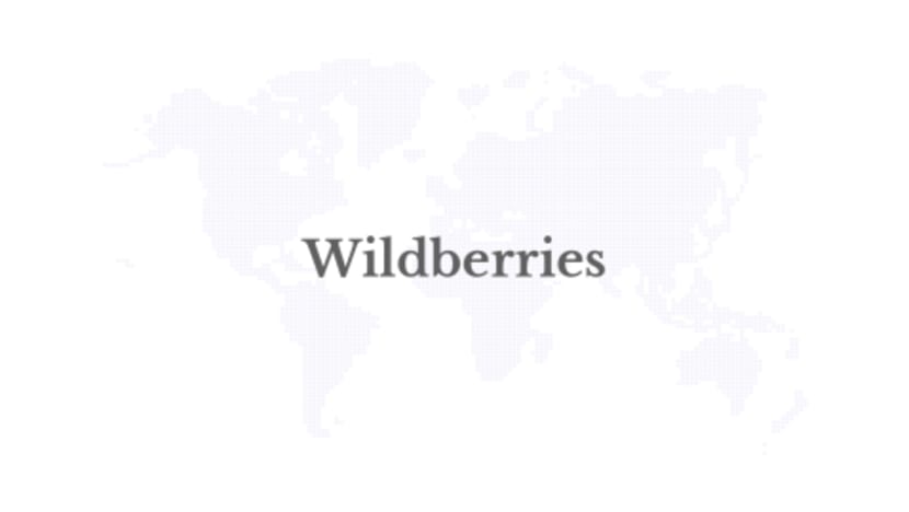 Eurasian e-commerce giant Wildberries to open platform to sellers in Georgia