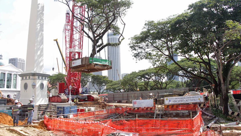 Angsana trees transplanted at Esplanade Park