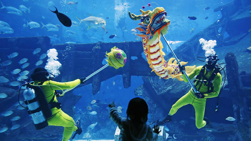 An underwater dragon dance