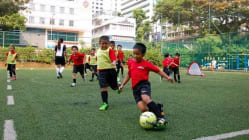 Related article image