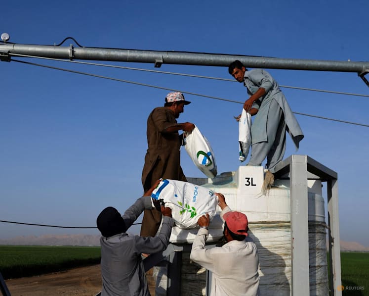 UAE fertiliser giant warns of global food impact as it turns to trucks to bypass Hormuz