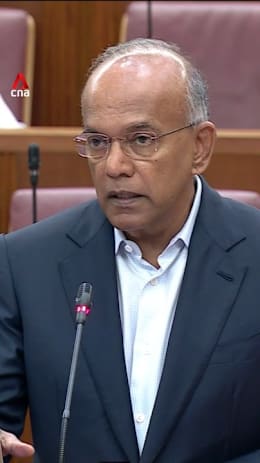 'Spare a thought for elderly victims': Shanmugam on deterrent sentences for young scam offenders