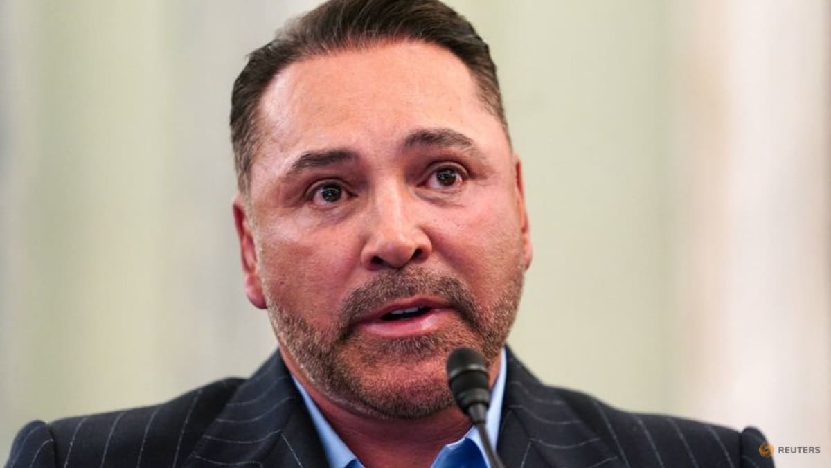 De La Hoya, Ali's grandson warn US lawmakers against boxing law overhaul