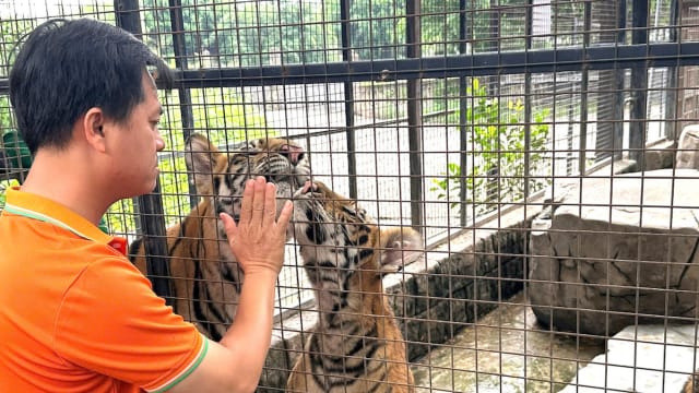 一个月内48只动物死亡 越南动物园爆禽流感疫情