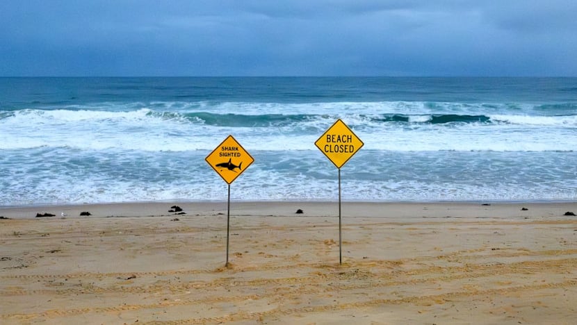 Shark kills diver off Western Australia Shark kills diver off Western Australia