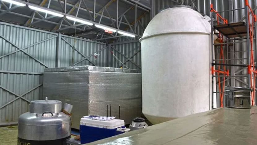 Deep-freezing the dead: Growing interest in Asia for cryonics with rising population and incomes Deep-freezing the dead: Growing interest in Asia for cryonics with rising population and incomes
