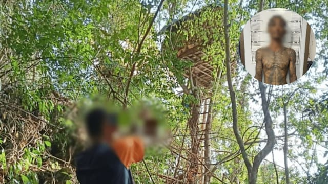 泰国通缉杀手藏身山中树屋 下山购食被捕