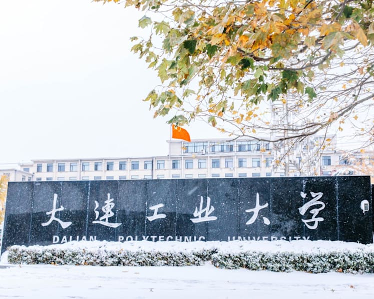 ‘Overly harsh’: Backlash after Chinese university expels female student over alleged liaison with Ukrainian gamer 