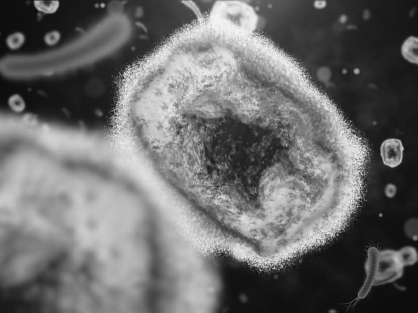 Singapore reports third local case of monkeypox infection