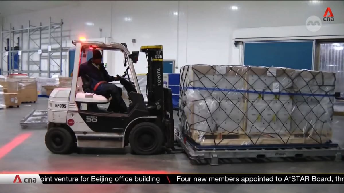 Asia's first perishable handling centre stays fresh with tech, better ...