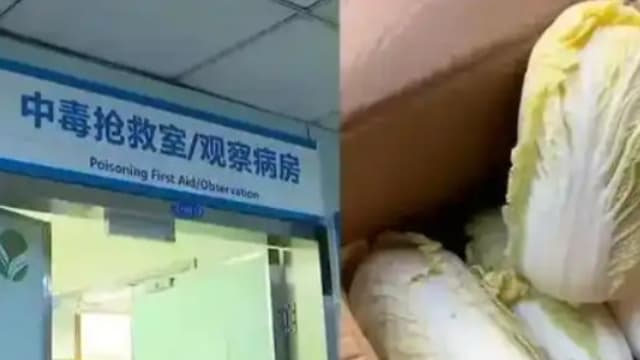 浙江夫妻网购娃娃菜中毒案反转 警方查明是丈夫投毒